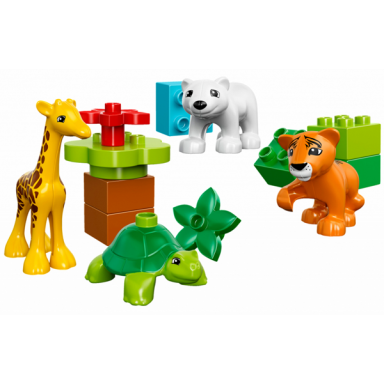 baby animals