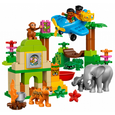 jungle