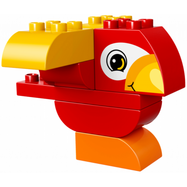 my first bird