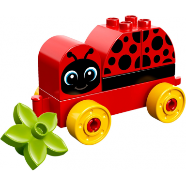 my first ladybug