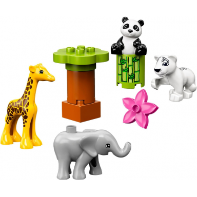 baby animals