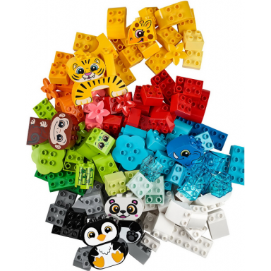 creative animals