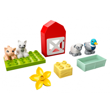 farm animal care
