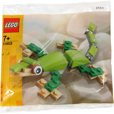 gecko polybag