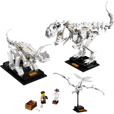 dinosaur fossils