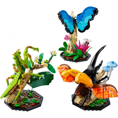 the insect collection