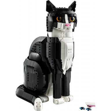 tuxedo cat