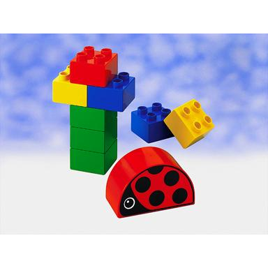 ladybug