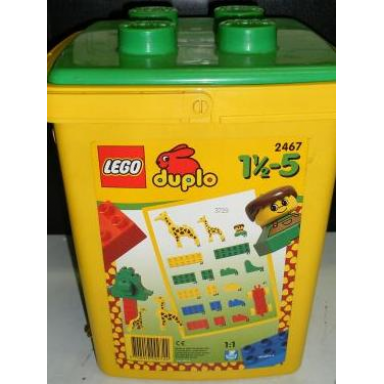 large bucket