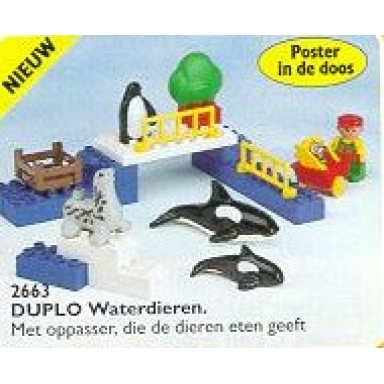water animals