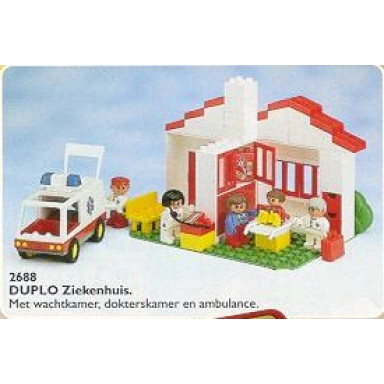 doctors house