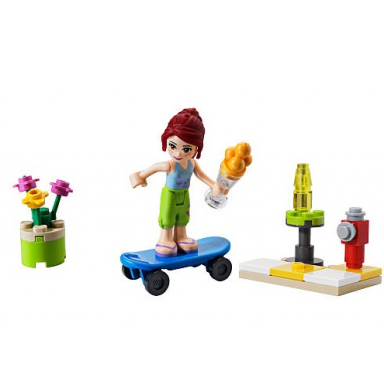 skate boarder polybag