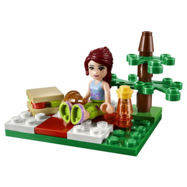 summer picnic polybag