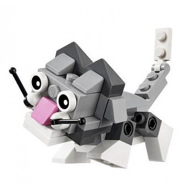cute kitten polybag