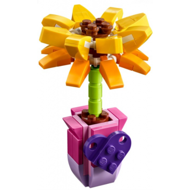 friendship flower sunflower polybag