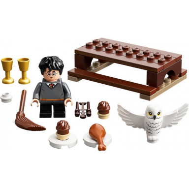 harry potter and hedwig: owl delivery polybag