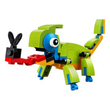 chameleon polybag