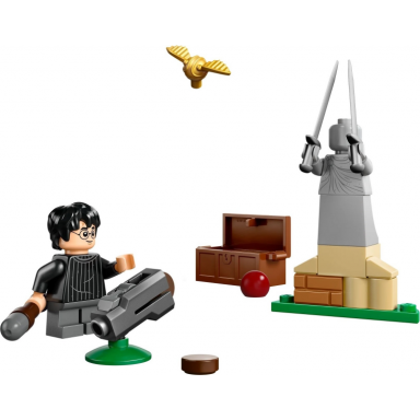 quidditch lesson paper bag polybag