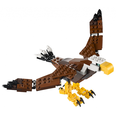 fierce flyer