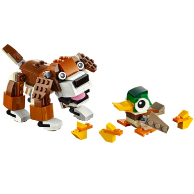 park animals