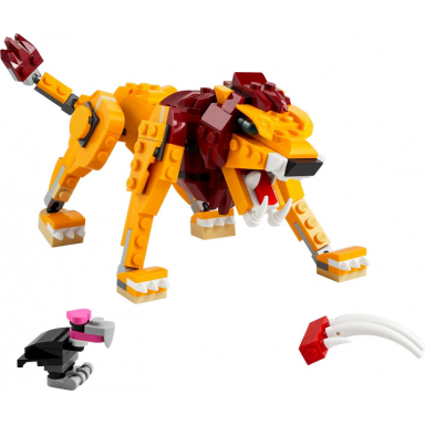 wild lion