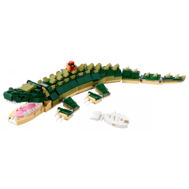 crocodile