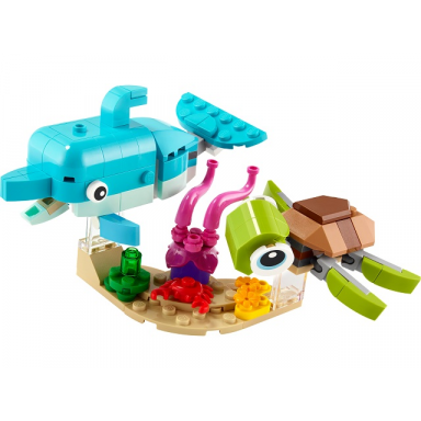 dolphin and turtle