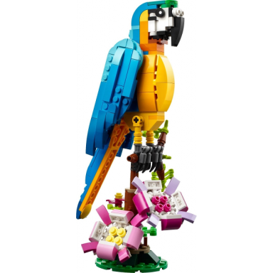exotic parrot