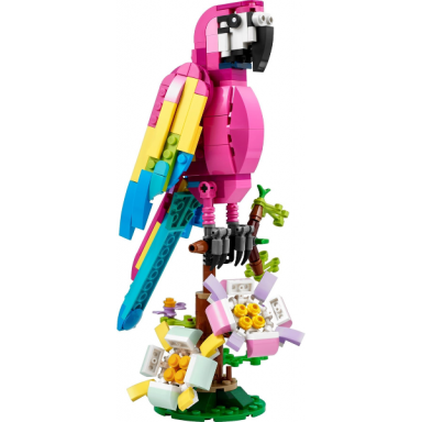 exotic pink parrot