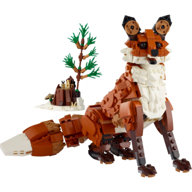 forest animals: red fox