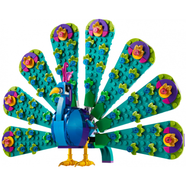 exotic peacock