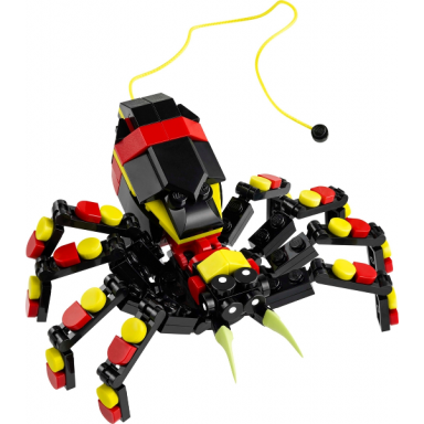 surprising spider