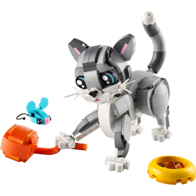 playful cat
