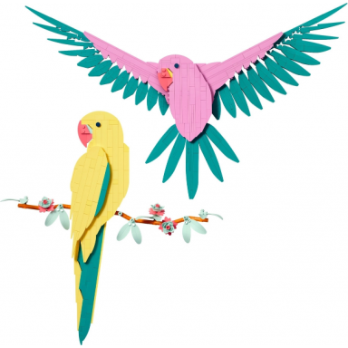 the fauna collection - macaw parrots