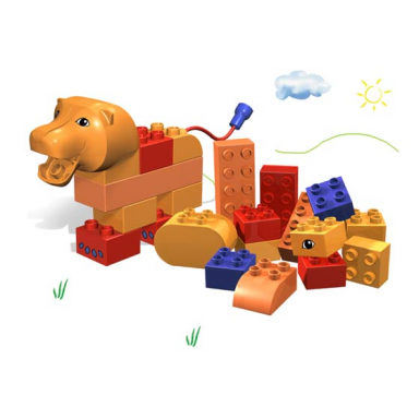 funny lion