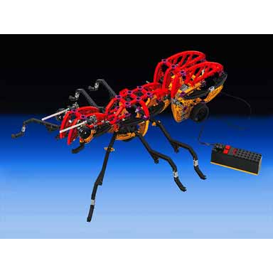 ant