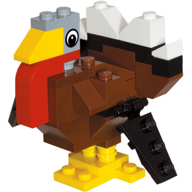 thanksgiving turkey polybag