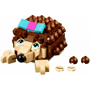 hedgehog storage