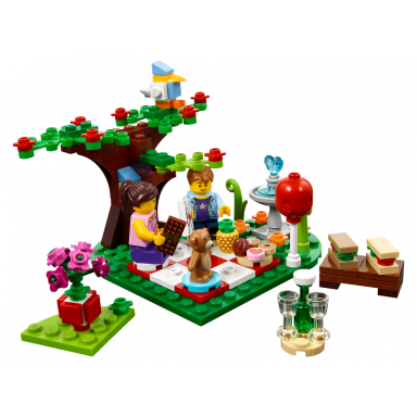 romantic valentine picnic