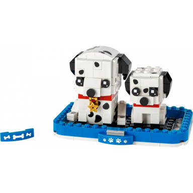 dalmatian puppy