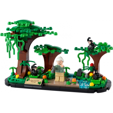 jane goodall tribute