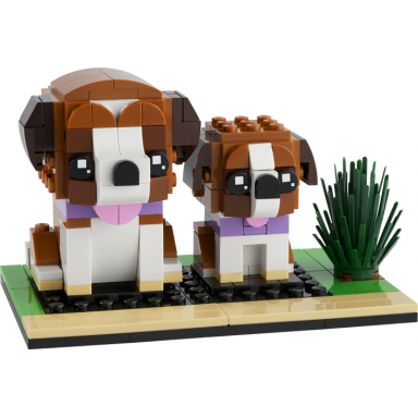 st bernard