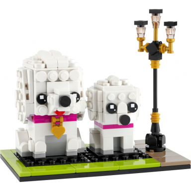 poodle