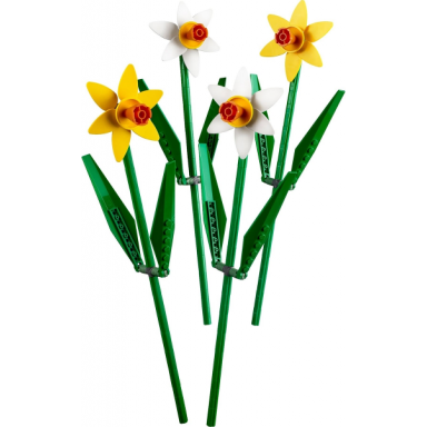 daffodils