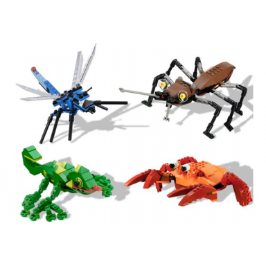 wild collection