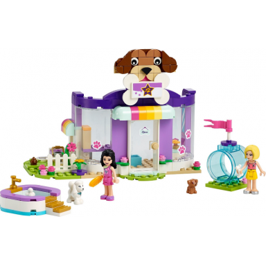 doggy day care