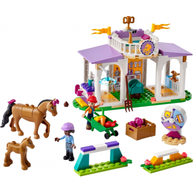 horse training