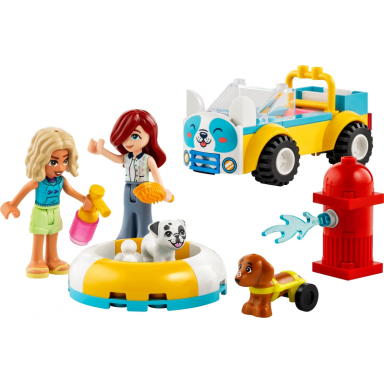dog-grooming car