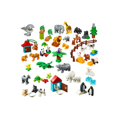 animals