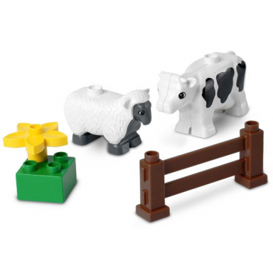 farm animals